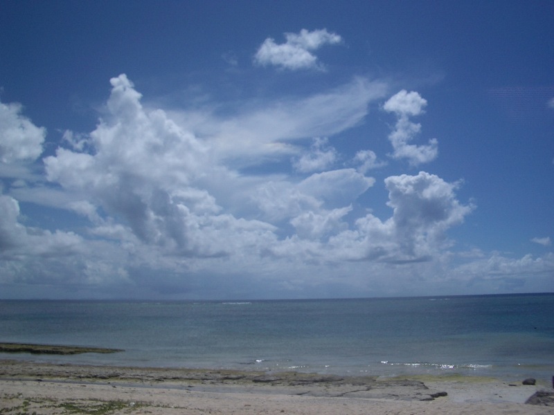 c0193396_10412516.jpg