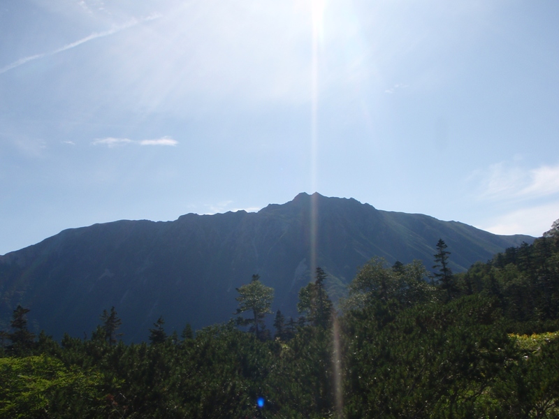 c0147398_23584096.jpg
