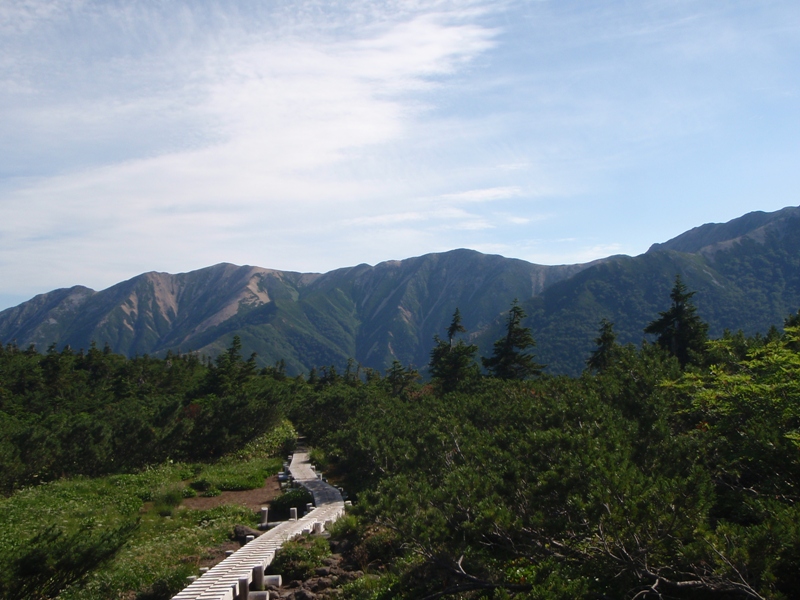 c0147398_23584920.jpg