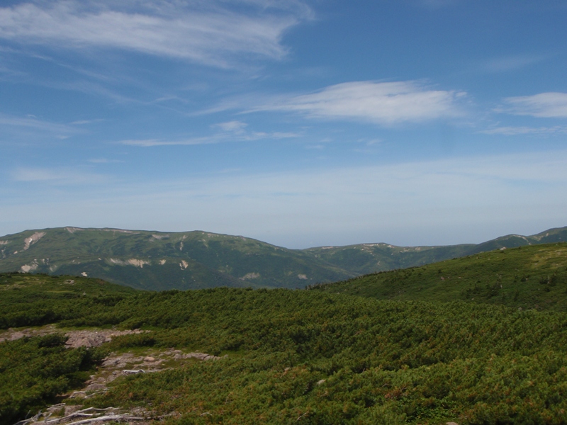 c0147398_23593075.jpg