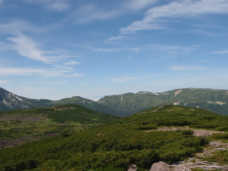c0147398_23593735.jpg
