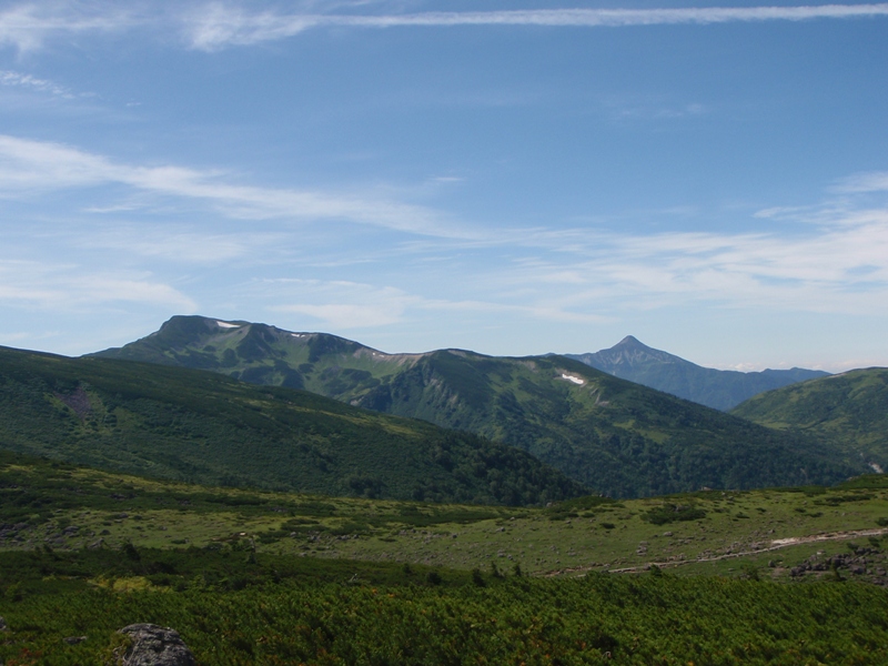 c0147398_23595512.jpg