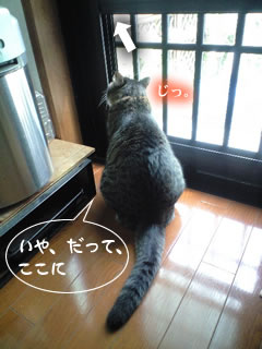 c0035001_1659242.jpg