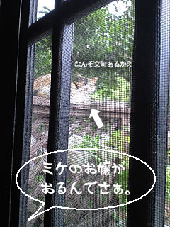 c0035001_16592460.jpg