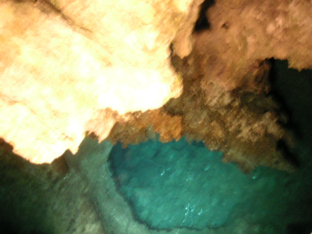 e0192203_1018457.jpg