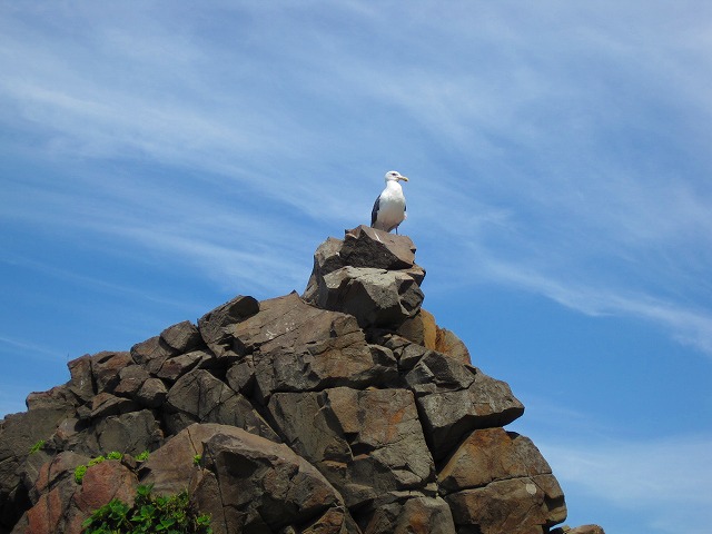 e0183804_2159726.jpg