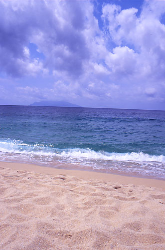a0018719_232246.jpg