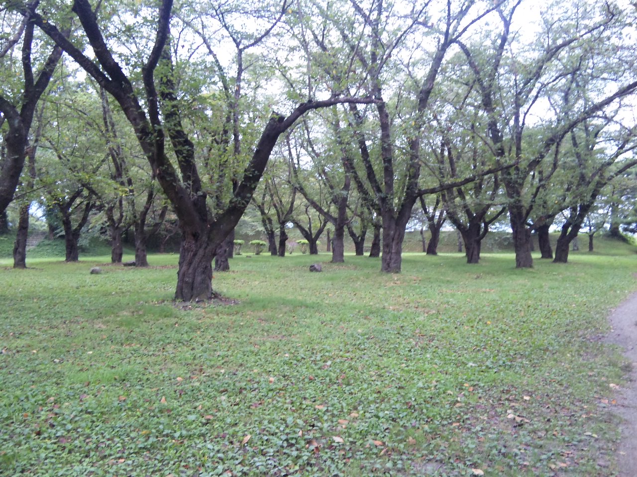 d0010720_23581581.jpg