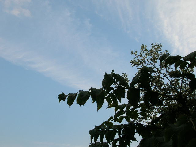 c0097923_1910054.jpg