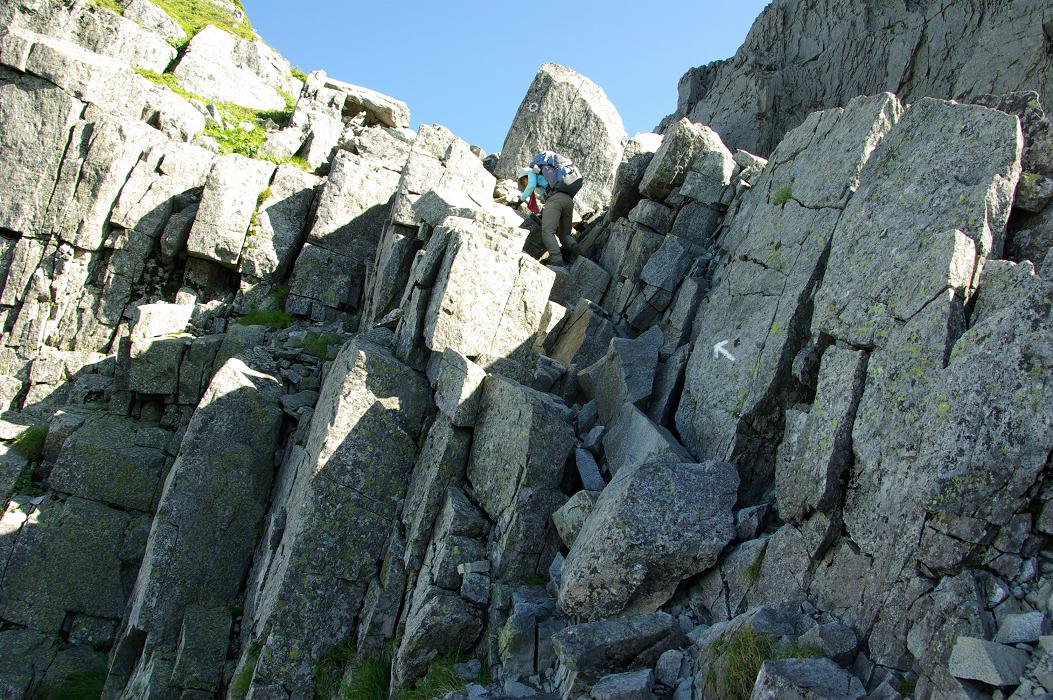 b0062024_6461359.jpg