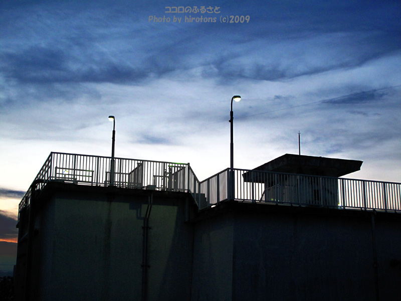 e0016732_912935.jpg