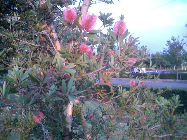 c0114833_0291917.jpg