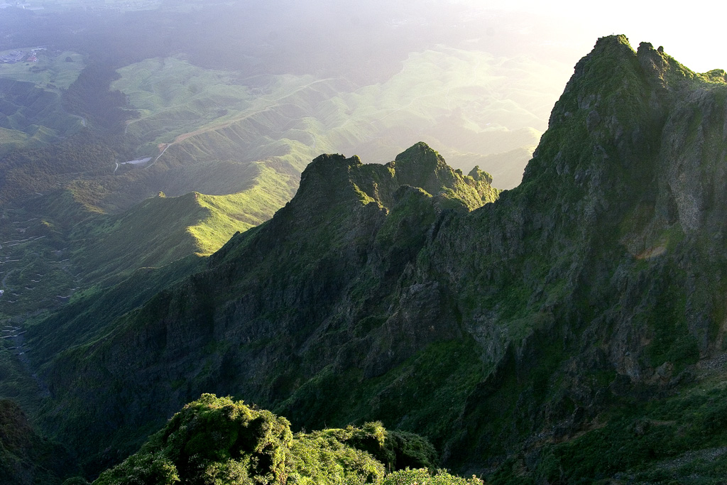 d0136836_1564350.jpg