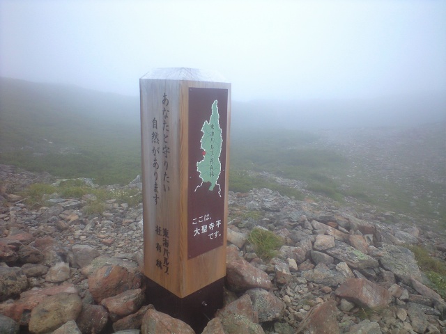 d0107938_12482473.jpg
