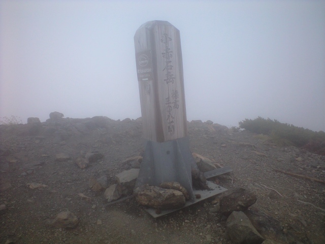 d0107938_12493189.jpg