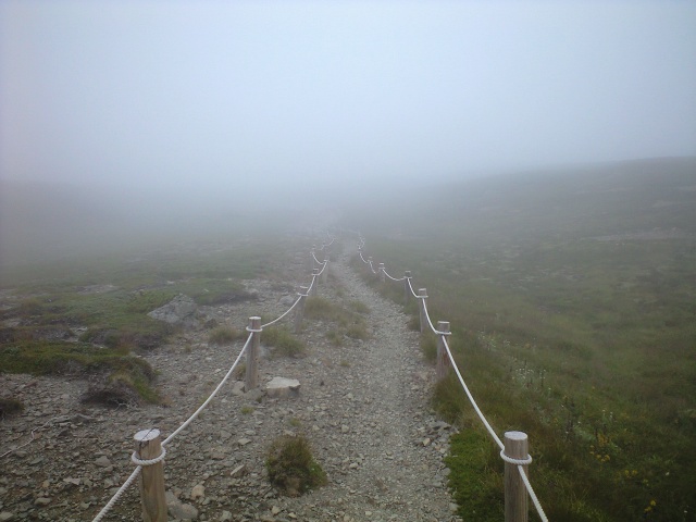 d0107938_12501049.jpg