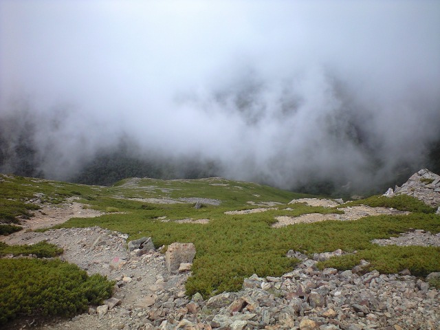 d0107938_12505215.jpg