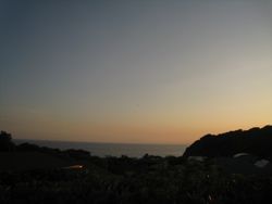 a0068339_065938.jpg