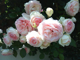 f0204440_114267.jpg