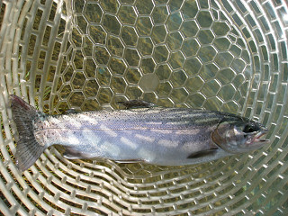 f0065341_23105443.jpg