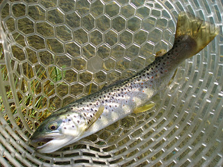 f0065341_2311592.jpg