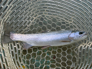 f0065341_23132193.jpg