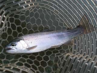 f0065341_23135231.jpg