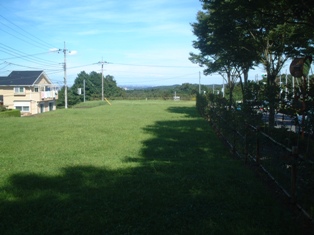 d0124543_3341757.jpg