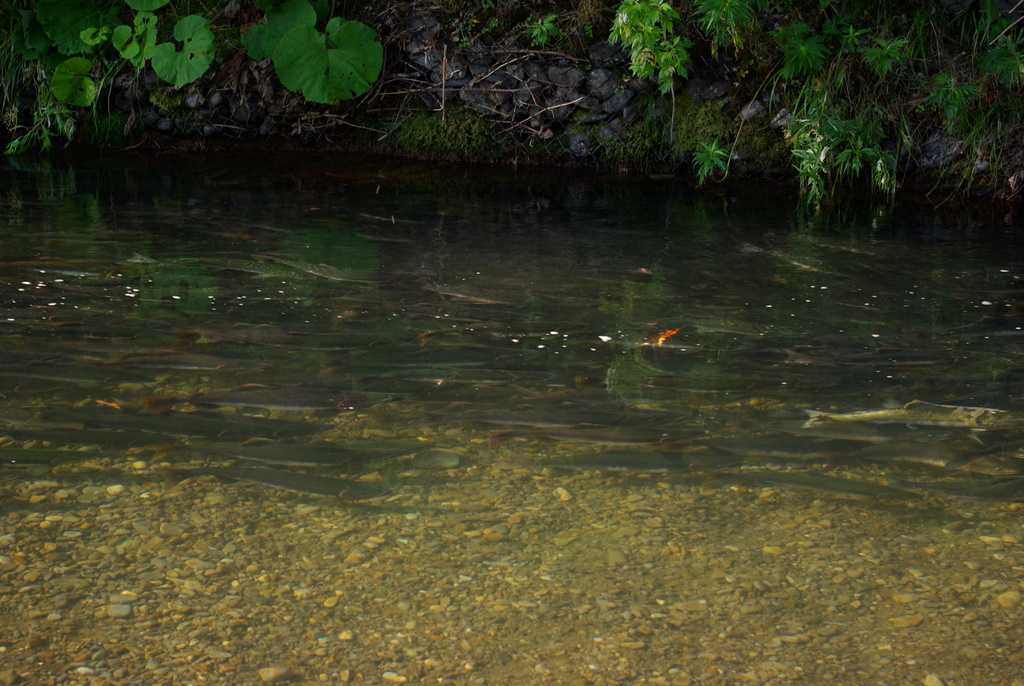 e0190143_1672190.jpg