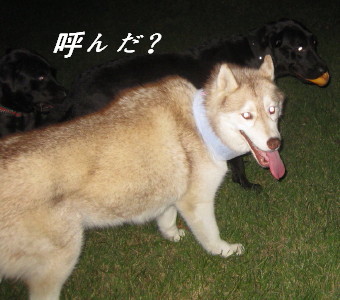 e0121548_844973.jpg