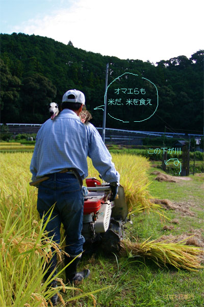 d0036450_10185998.jpg