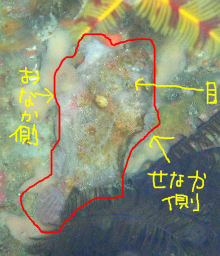 e0065350_1536989.jpg