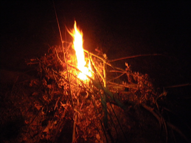 f0046250_0232839.jpg