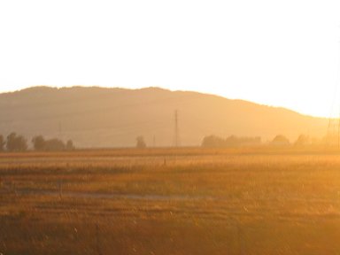 f0194450_8555797.jpg