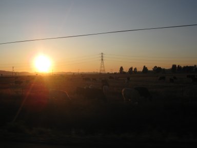 f0194450_8561172.jpg
