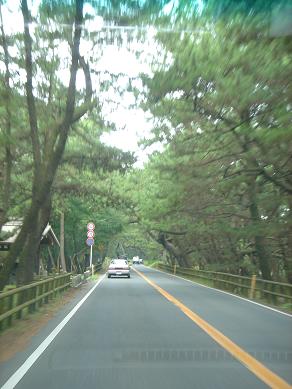 c0067851_032537.jpg