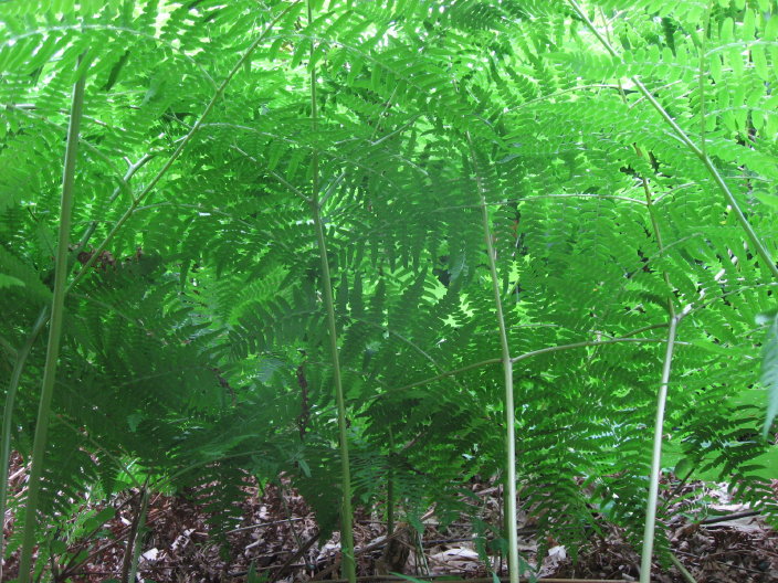f0089352_2131480.jpg