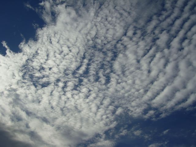 f0198556_3425377.jpg