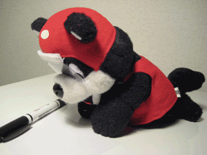 b0159557_22203158.gif