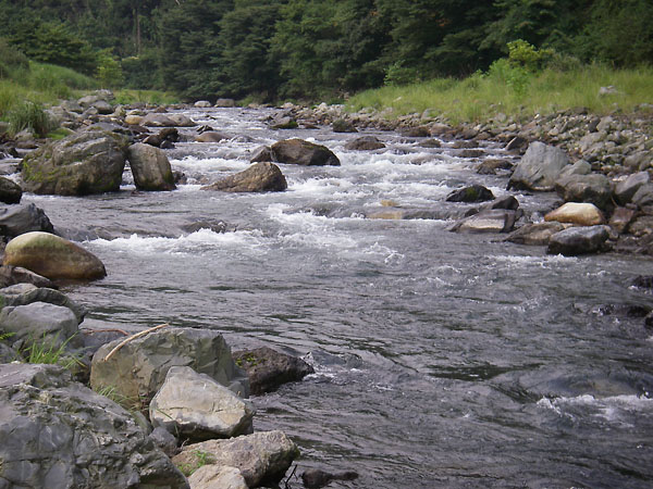b0053660_13145957.jpg