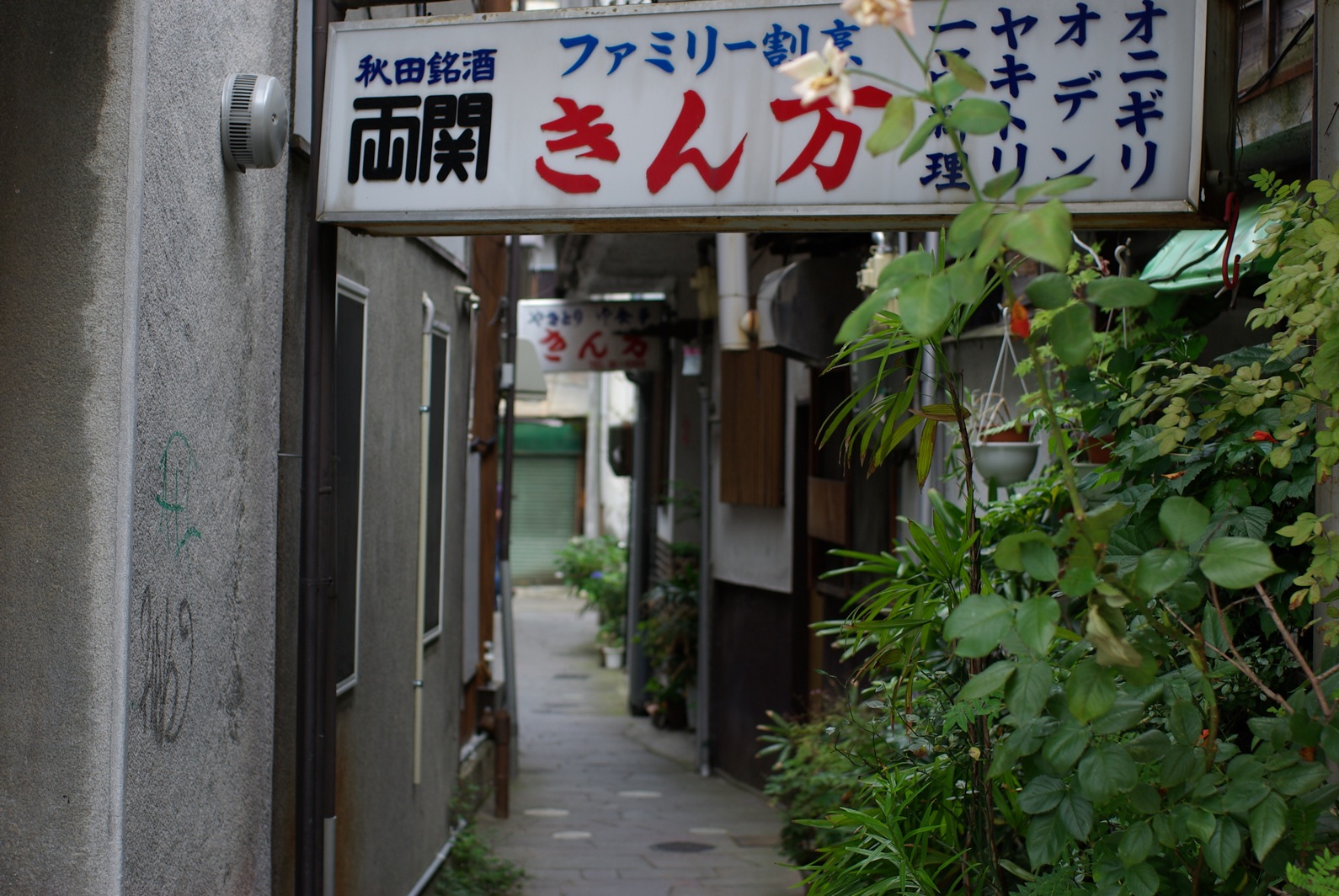 f0049261_1035916.jpg
