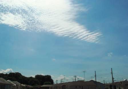 c0113964_21255661.jpg