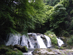 b0079965_55986.jpg