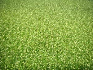 b0079965_615574.jpg