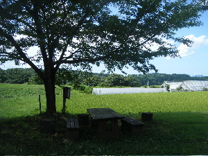 b0079965_615589.jpg