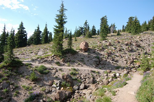 e0128367_5385820.jpg