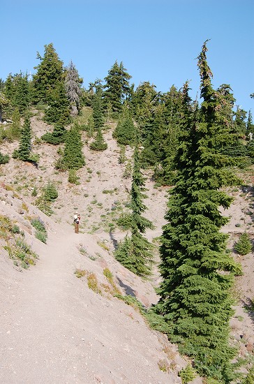 e0128367_5395026.jpg