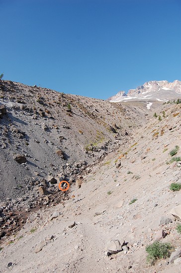 e0128367_5531147.jpg