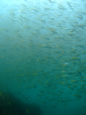 e0184067_11454.jpg