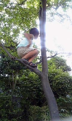 f0177670_18575393.jpg